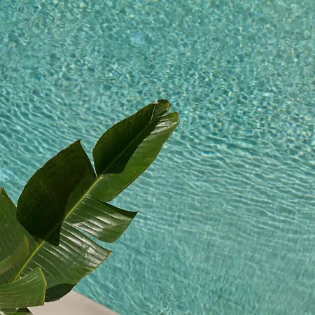 Hotel Salt Paros 4*