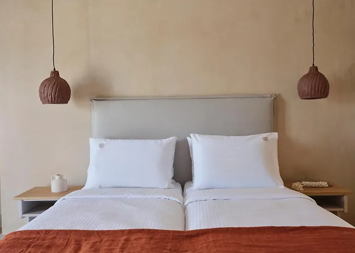 Hotel Salt Paros Naousa (Paros)